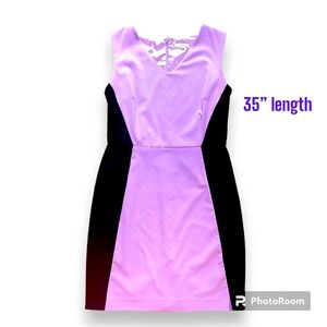 New York & Company Purple and Black Satin Lined Knee Length Dress